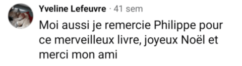 avis-17-pistolet-a-bouchon